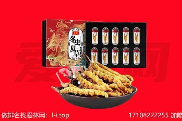 赣州市回收虫草.jpg